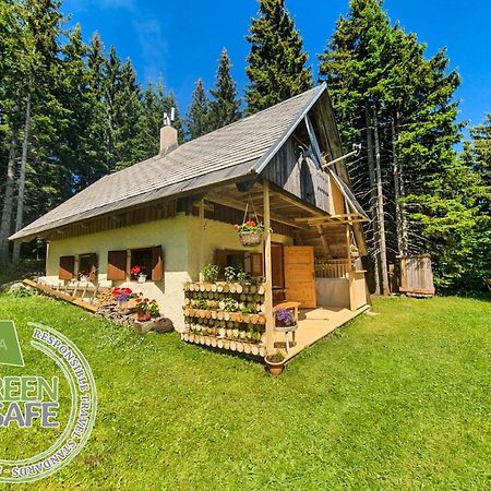 Mountain Eco Chalet Konjska Dolina On 1400 M Asl -Near Pokljuka Srednja Vas v Bohinju Esterno foto