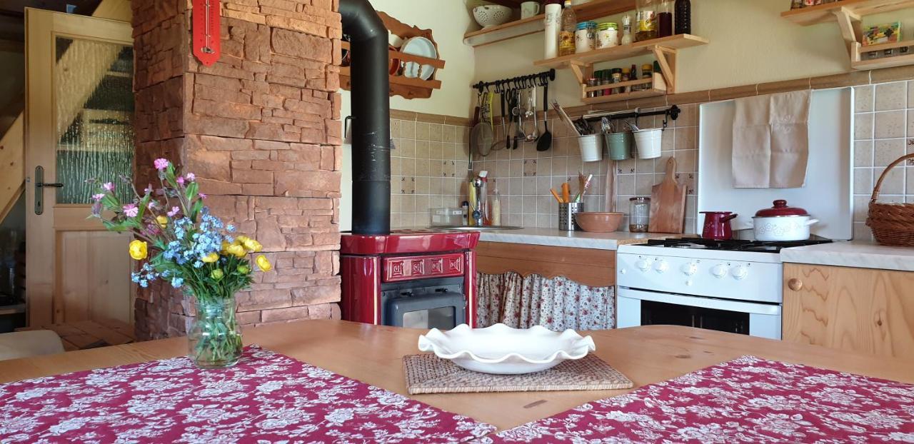 Mountain Eco Chalet Konjska Dolina On 1400 M Asl -Near Pokljuka Srednja Vas v Bohinju Esterno foto
