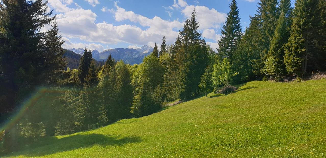 Mountain Eco Chalet Konjska Dolina On 1400 M Asl -Near Pokljuka Srednja Vas v Bohinju Esterno foto