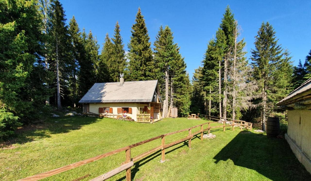 Mountain Eco Chalet Konjska Dolina On 1400 M Asl -Near Pokljuka Srednja Vas v Bohinju Esterno foto