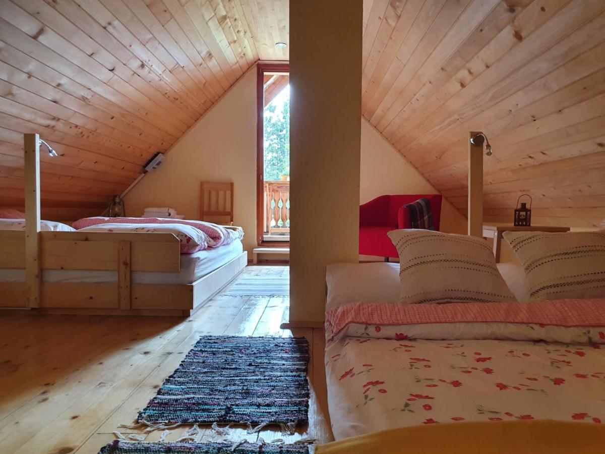 Mountain Eco Chalet Konjska Dolina On 1400 M Asl -Near Pokljuka Srednja Vas v Bohinju Esterno foto