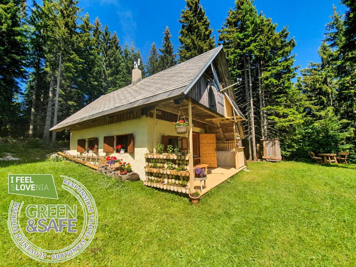 Mountain Eco Chalet Konjska Dolina On 1400 M Asl -Near Pokljuka Srednja Vas v Bohinju Esterno foto